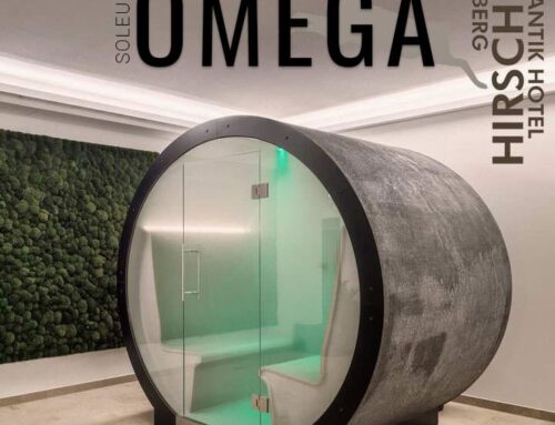 Outdoor steam bath OMEGA