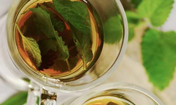 Bagno di vapore all'aperto 14 TEEDARIUM Inalare il tè