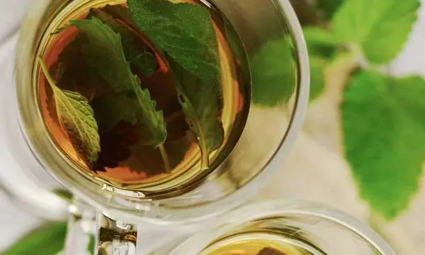 Vanjska parna kupelj 8 TEEDARIUM Inhalirajte čaj