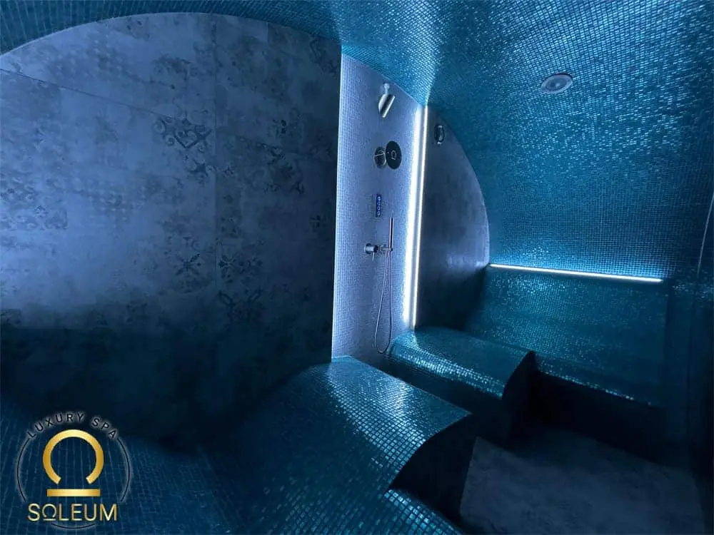 Venkovní parní lázeň Premium-Ultraluxury-10 Parní kabina Premium pro zahradu