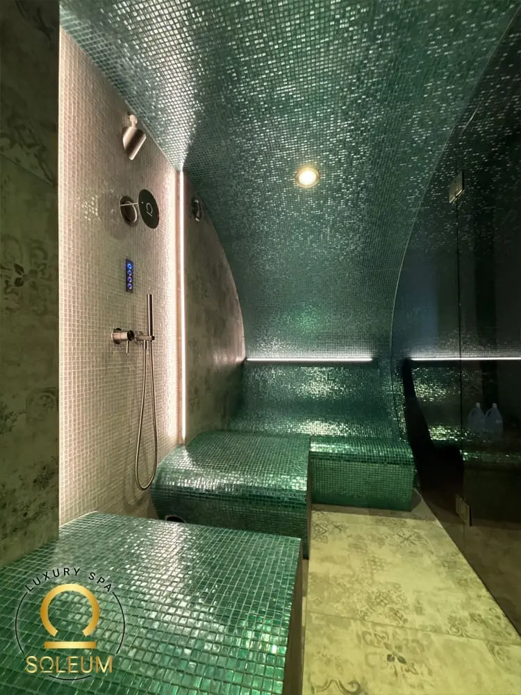 Venkovní parní lázeň Premium-Ultraluxury-5 Parní lázeň Premium pro zahradu